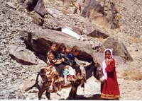 afghan11