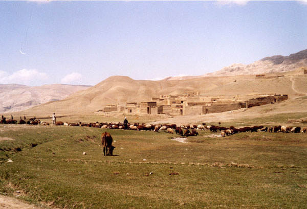 village3