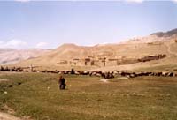 village3
